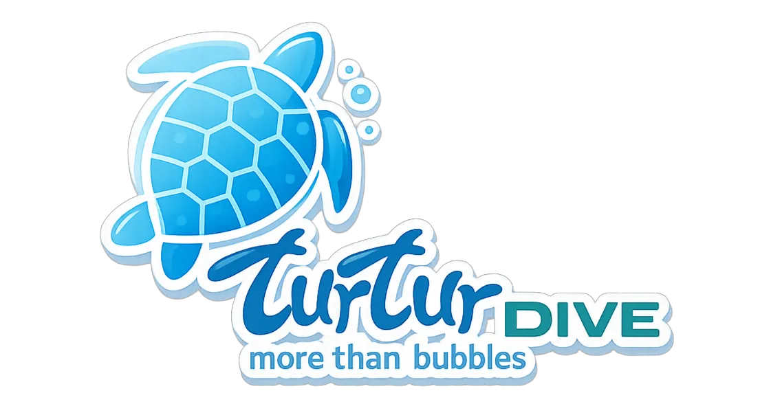 turturdive.com